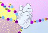 The Hidden Cost of Shelf Life: New Study Links Common Food Preservatives to Cardiovascular Risk