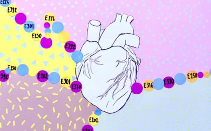 The Hidden Cost of Shelf Life: New Study Links Common Food Preservatives to Cardiovascular Risk
