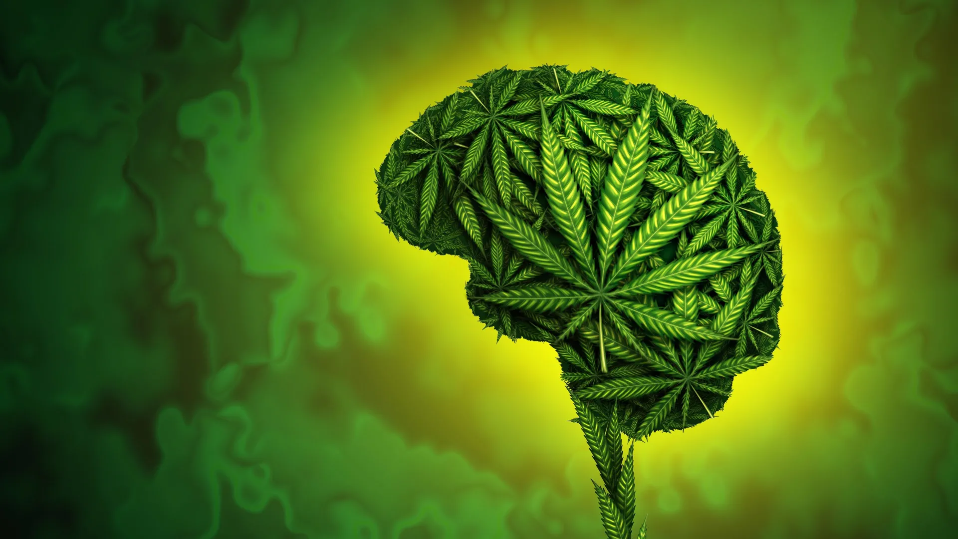 The Hidden Toll: Comprehensive Review Links Cannabis Use to Increased Risk of Violence