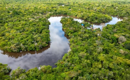 The Leaky Pot: Why Protecting Standing Forests is the Amazon’s Most Urgent Climate Strategy