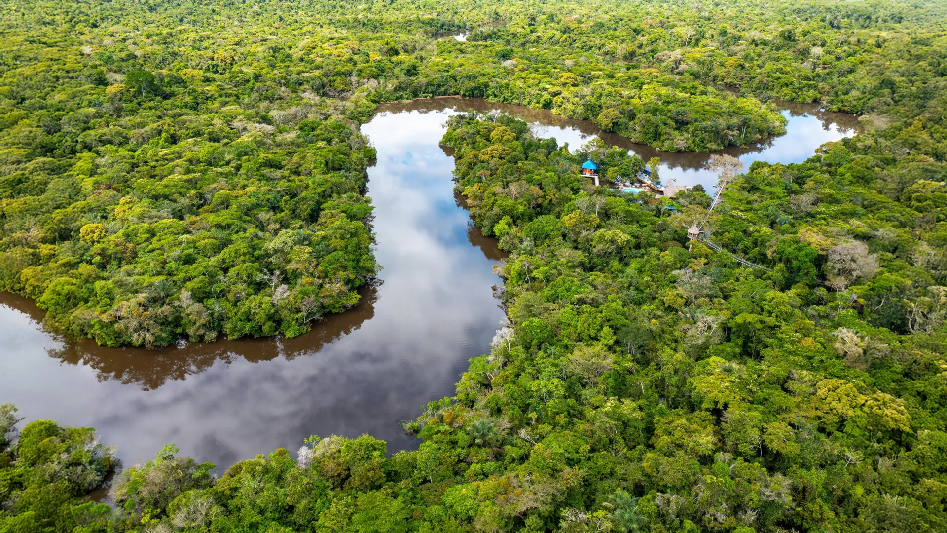The Leaky Pot: Why Protecting Standing Forests is the Amazon’s Most Urgent Climate Strategy
