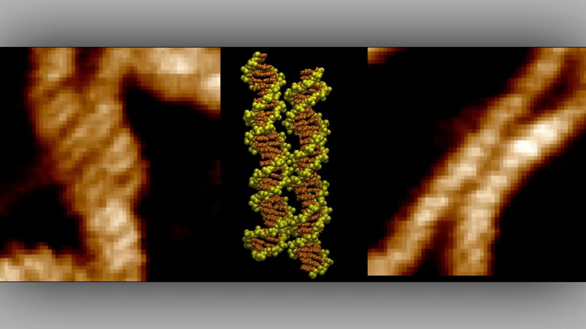 The Molecular Handshake: Scientists Unveil How DNA Overcomes Electrical Repulsion to Pair