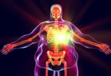 The Molecular Shadow: New Research Reveals Why Obesity’s Health Risks Linger Long After Weight Loss