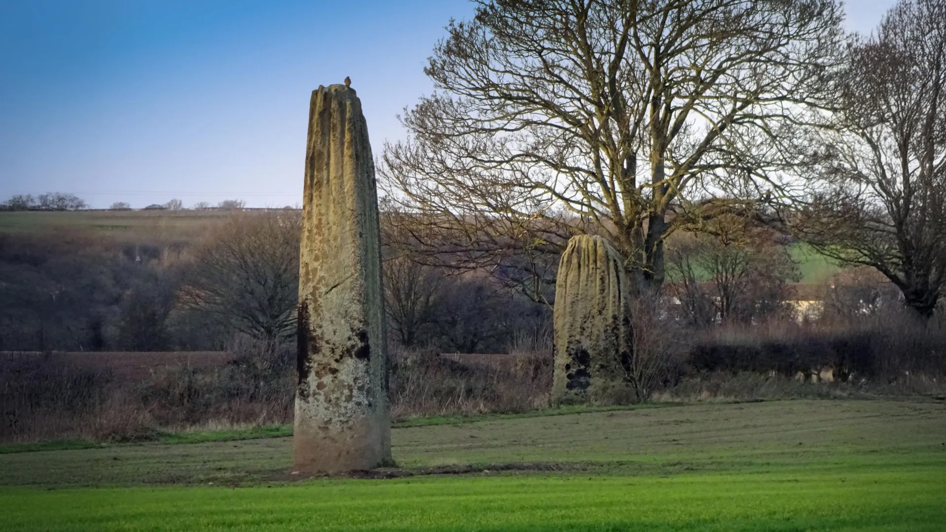 The Neolithic Enigma: Solving the Mystery of Britain’s Tallest Stone Row
