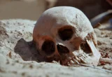 The Persistent Shadow: Decoding the Centuries-Long Reign of the Black Death