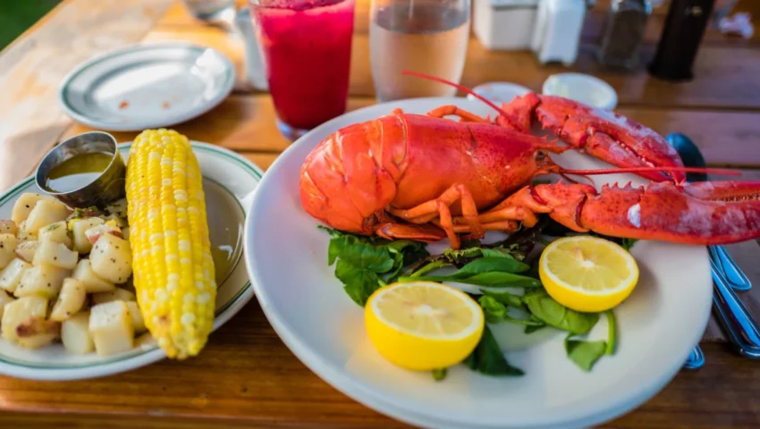 The Price of the Catch: A Deep Dive into the Evolution of Lobster Dining