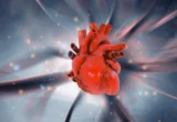The Silent Architect of Heart Disease: How Chronic Inflammation Links Lifestyle to Cardiac Failure