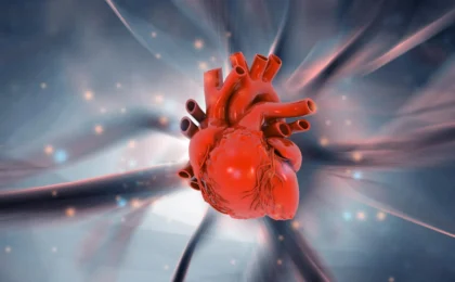 The Silent Architect of Heart Disease: How Chronic Inflammation Links Lifestyle to Cardiac Failure