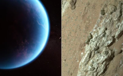 The Silent Consensus: Decoding How Scientists Really Feel About Alien Life
