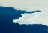 The Tropical Regulator: How Distant Ocean Warming Triggered a Massive Antarctic Ice Gain