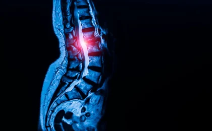 Unlocking the Blueprint of Motion: Breakthrough Discovery of Universal Tendon and Ligament Stem Cells