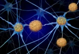 Unlocking the Silent Phase: New Research Rewrites the Timeline of Alzheimer’s Disease