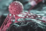 Unmasking the Shield: New Cellular Maps Reveal How Breast Tumors Hide and Survive