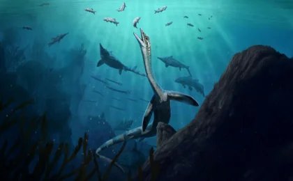 A Window Into the Deep: Extraordinary Triassic Fossil Reveals Internal Secrets of Ancient Marine Life
