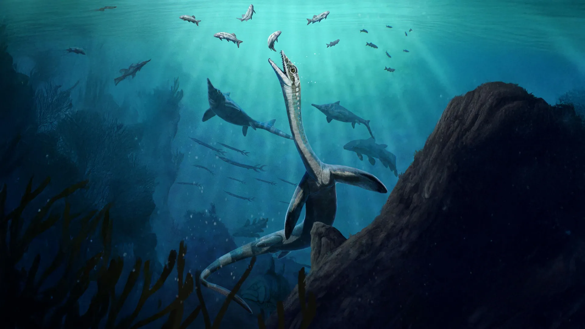 A Window Into the Deep: Extraordinary Triassic Fossil Reveals Internal Secrets of Ancient Marine Life