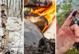 Beyond the Haft: Did Neanderthals Harness the Antibacterial Power of Birch Tar?