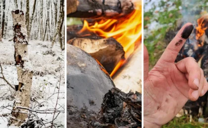 Beyond the Haft: Did Neanderthals Harness the Antibacterial Power of Birch Tar?