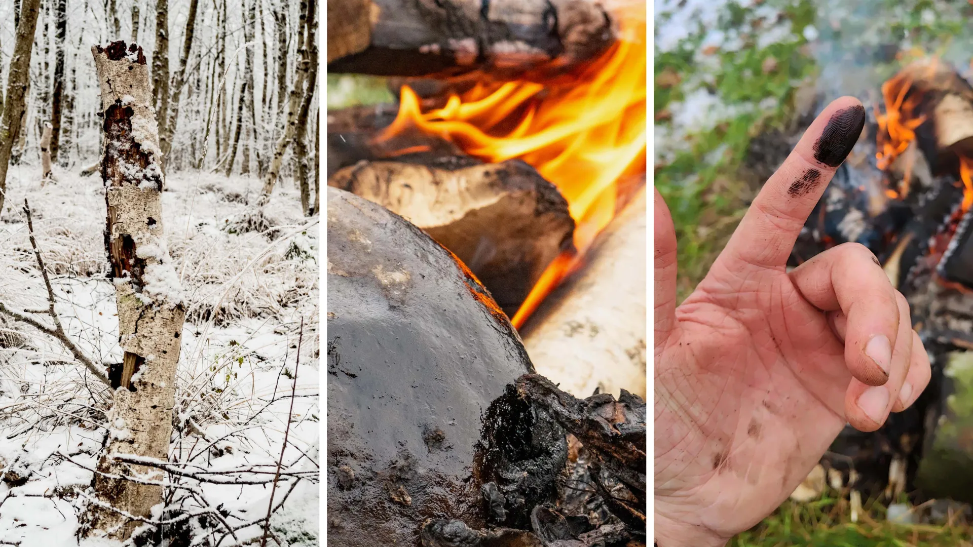 Beyond the Haft: Did Neanderthals Harness the Antibacterial Power of Birch Tar?