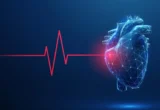 Beyond the Heart Muscle: How Exercise Remodels the Nervous System’s ‘Dimmer Switch’