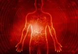 Beyond the Scale: New Research Unveils the Molecular Symphony of Prolonged Fasting