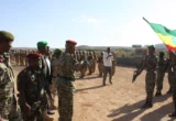 Fragile Peace in Flux: Ethiopian Federal Forces Reclaim Mekelle Following Rebel Withdrawal