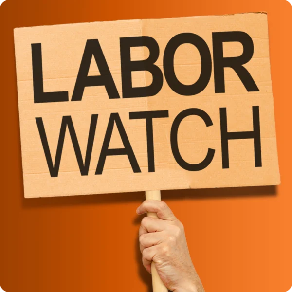 Higher Education Labor Surge: A Wave of Strikes and Organizing Sweeps American Campuses