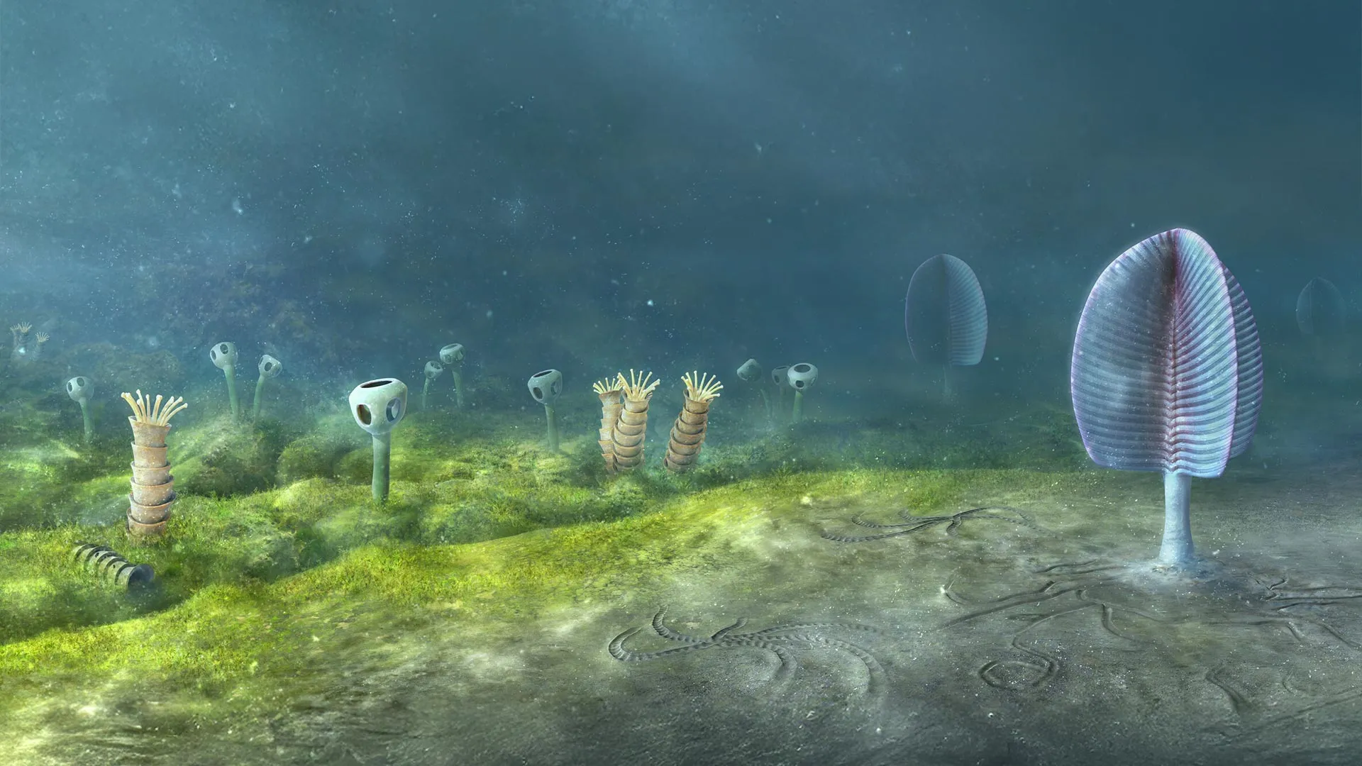 The Ghost of the Cambrian: Did Animal Life Emerge 200 Million Years Earlier Than We Thought?