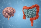 The Gut-Brain Connection: New UCLA Research Reveals Early Indicators of Cognitive Aging