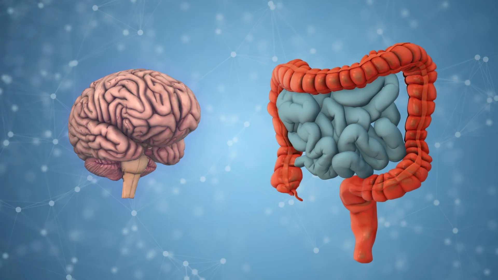 The Gut-Brain Connection: New UCLA Research Reveals Early Indicators of Cognitive Aging