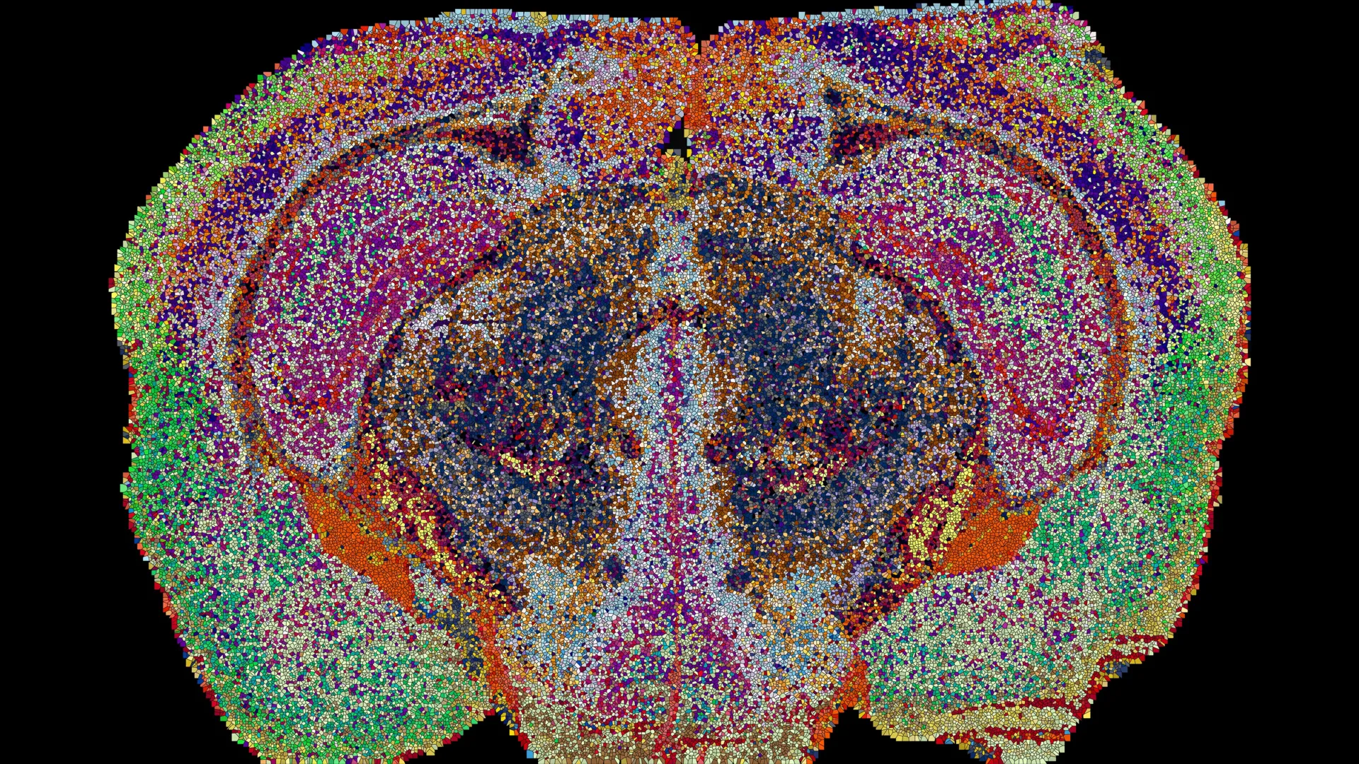 The Hidden Blueprint: How a New ‘Lipid Atlas’ Is Rewriting Our Understanding of the Brain