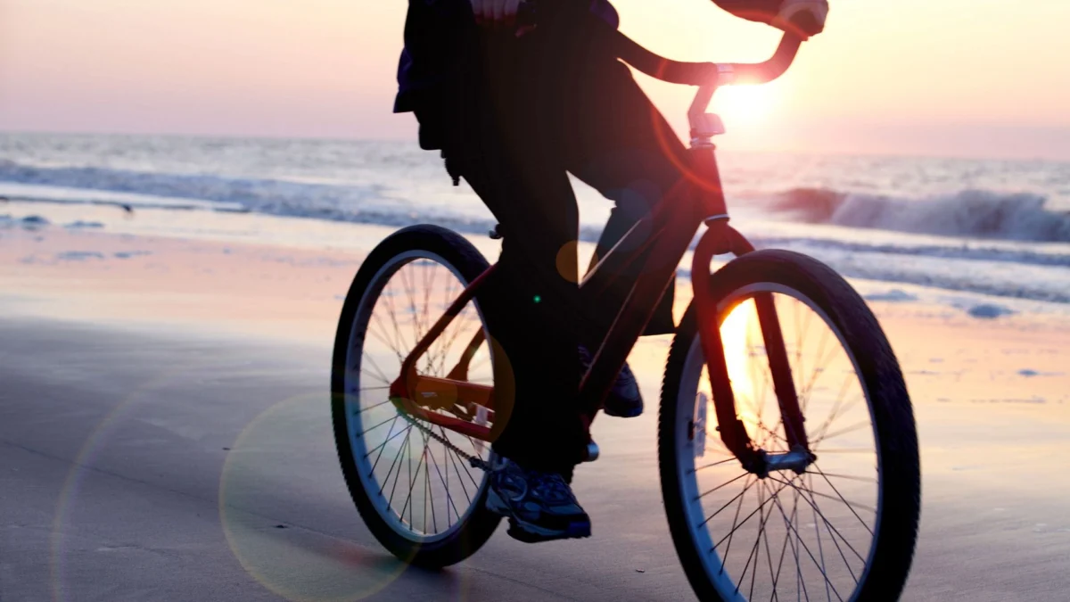 The Hidden Costs of the Sun-Drenched Dream: Retiring to the South Carolina Lowcountry