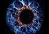 The Hidden Plumbing of the Eye: Landmark Discovery Unveils a New Path to Preventing Blindness