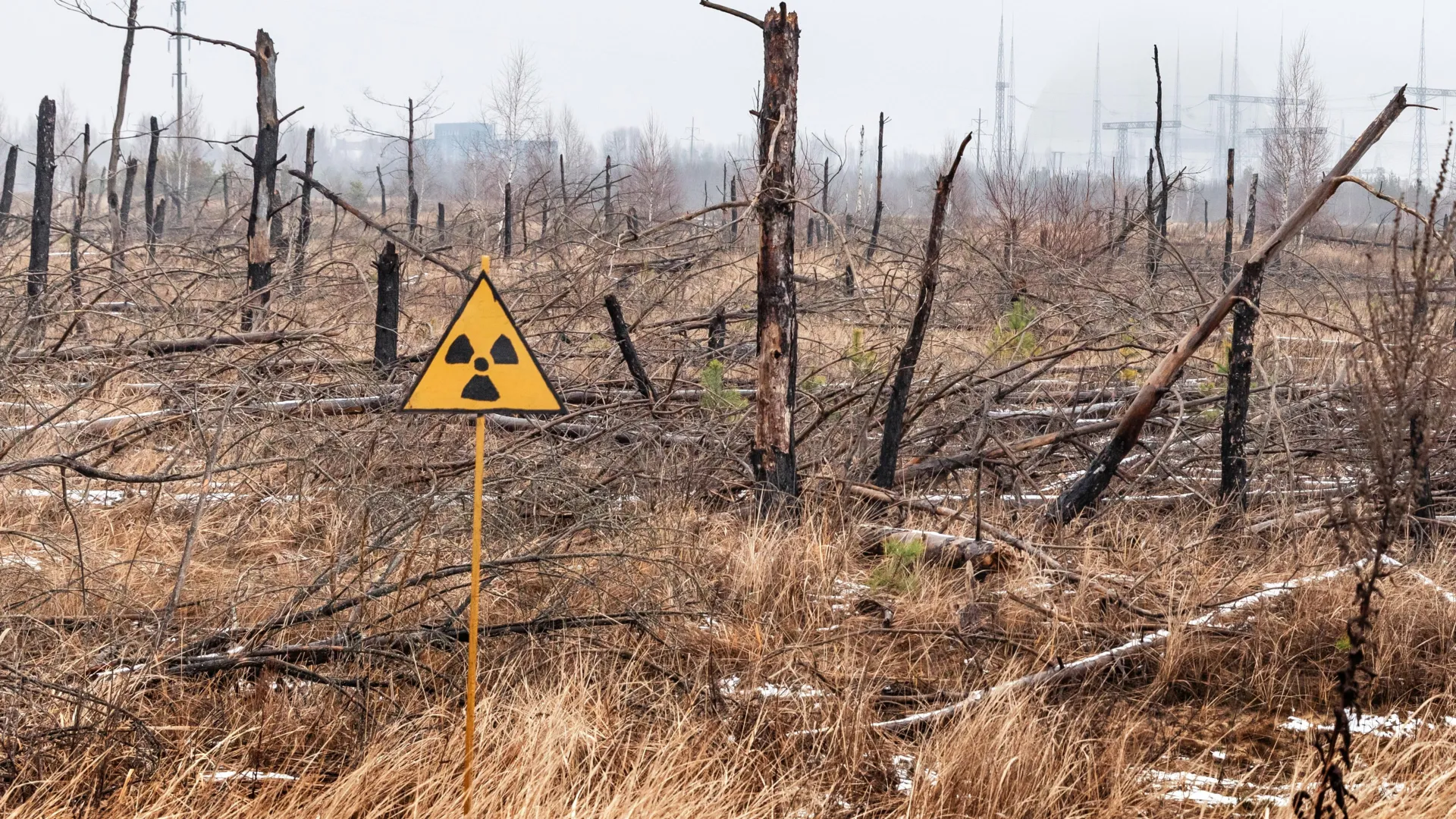 The Lingering Shadow: New Insights into Chornobyl’s Radioactive Legacy