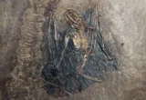 The Winged Mystery Solved: Global Genomic Consortium Pinpoints European Origins of Bats