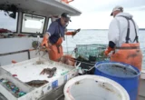 Tides of Discontent: Why the American Fishing Industry is Reconsidering its Alliance with Donald Trump