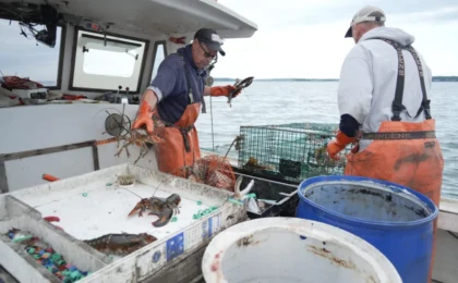 Tides of Discontent: Why the American Fishing Industry is Reconsidering its Alliance with Donald Trump