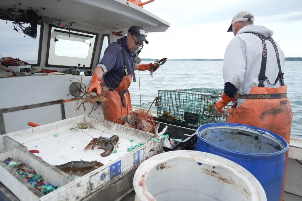 Tides of Discontent: Why the American Fishing Industry is Reconsidering its Alliance with Donald Trump